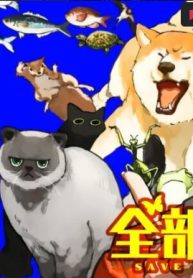 85511